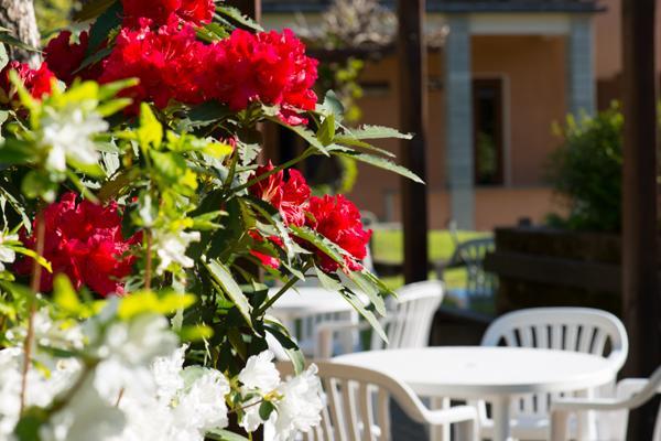 Foresteria Valdese Hotel Torre Pellice Exterior photo